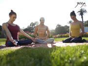 YogiSource.com Background #2