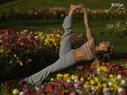 YogiSource.com Background #3