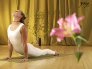 YogiSource.com Background #4