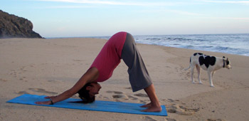 © 2006 Shannon Brophy